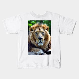 Asiatic Lion Panthera Leo Persica Big Cat Male Kids T-Shirt